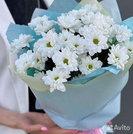 Хризантема