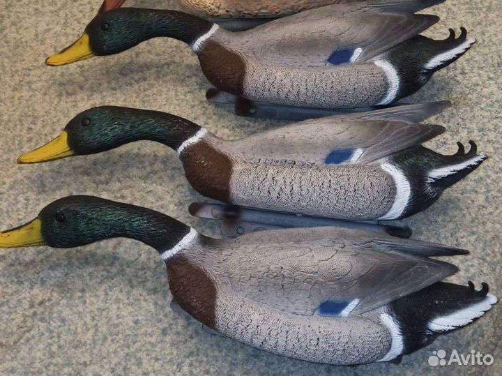 Чучело (селезень кормящийся) Sport plast Italy