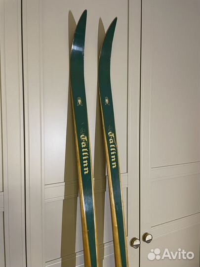 Лыжи Tallinn Dünamo Eksperimentaal