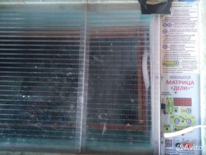 Инкубатор