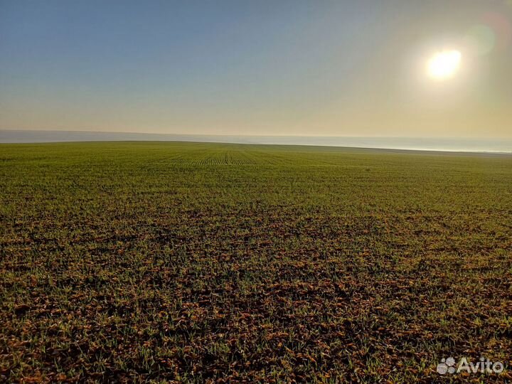 Готовый бизнес и оборудование