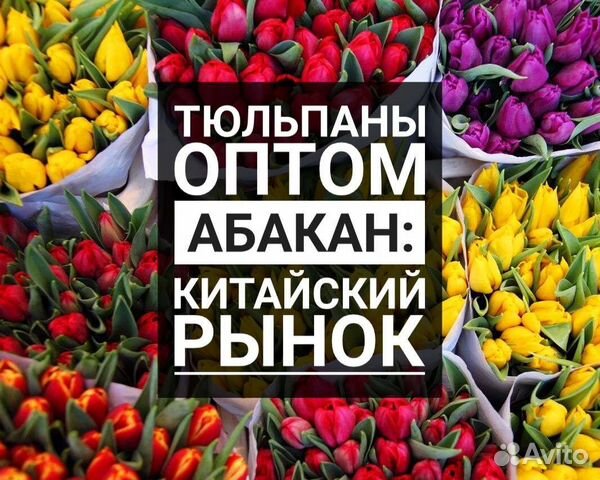 8 марта абакан