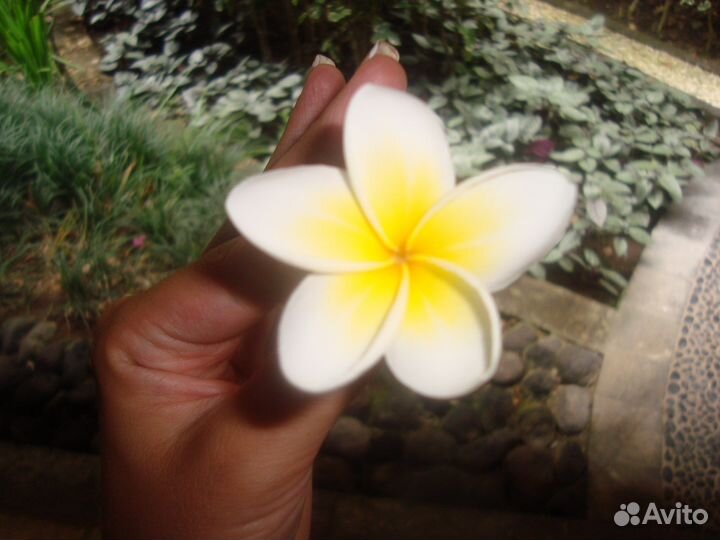 Женский Ретрит на Бали Октябрь 2023