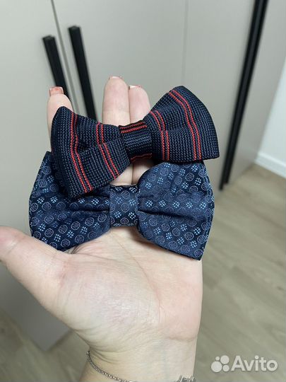 Бабочка мужская