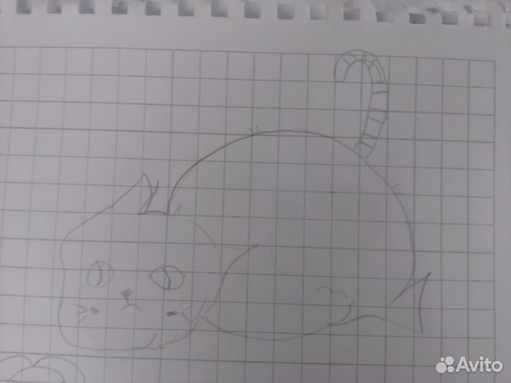 Нарисую вашего питомца