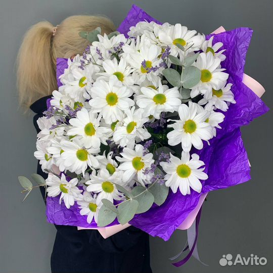 Кустовая ромашковая хризантема