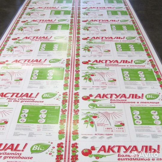 Сотовый поликарбонат В