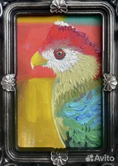 Попугай - миниатюра картина маслом