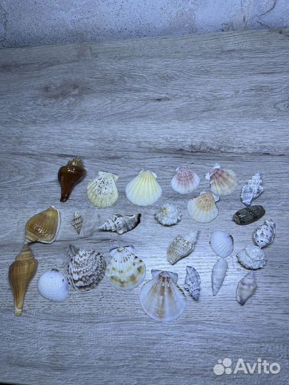 Декорации в аквариум