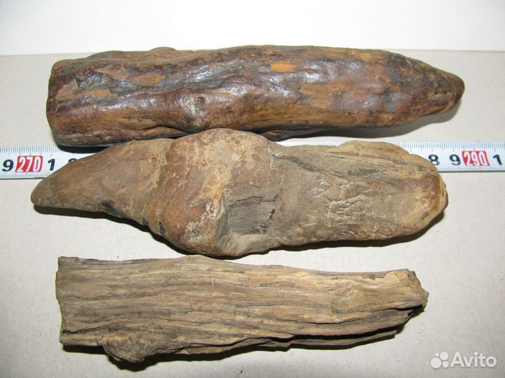 Окаменелое дерево (в коллекцию)