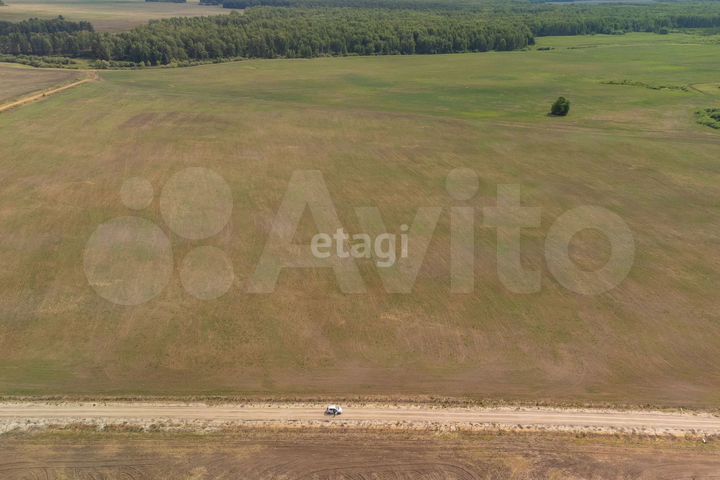 Участок 38,1 сот. (СНТ, ДНП)