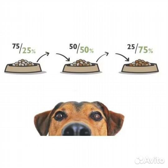 Корм для собак с бесплатной доставкой