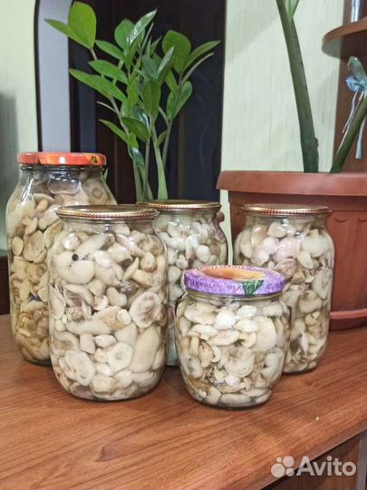 Маринованные маслята (очищенные)