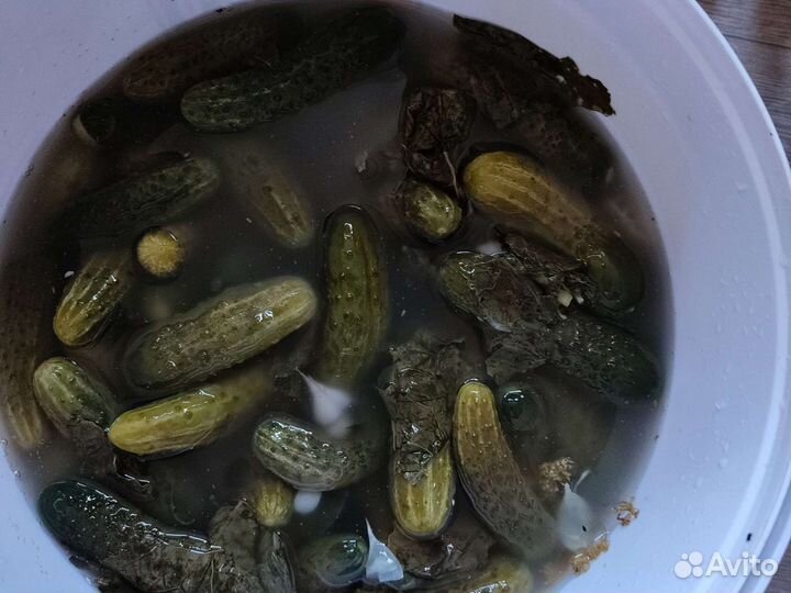 Огурчики молосольные