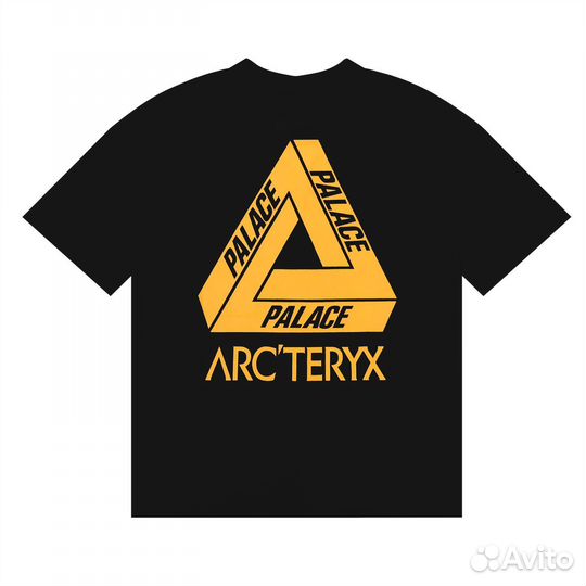 Футболка Arcteryx Palace