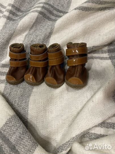 Ботинки для маленьких собак