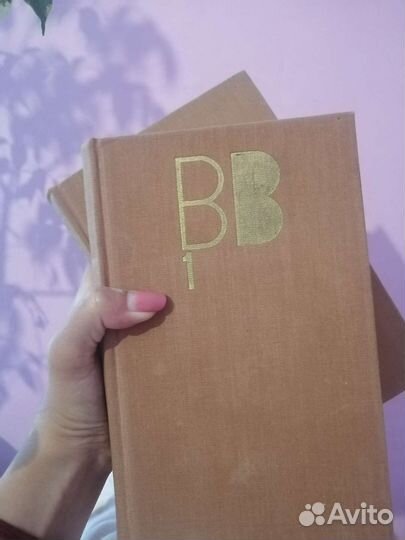 Книги Высоцкий в 2х томах