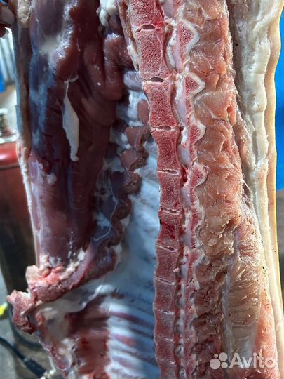 Мясо свинина полутуши