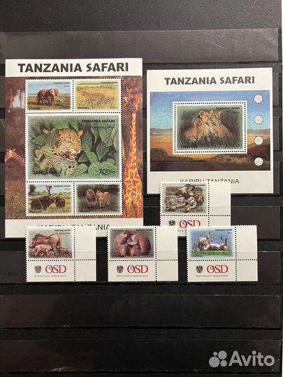 2007 г. Танзания. Фауна