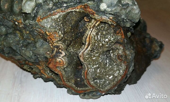 Фрагмент Аммонита в пирите