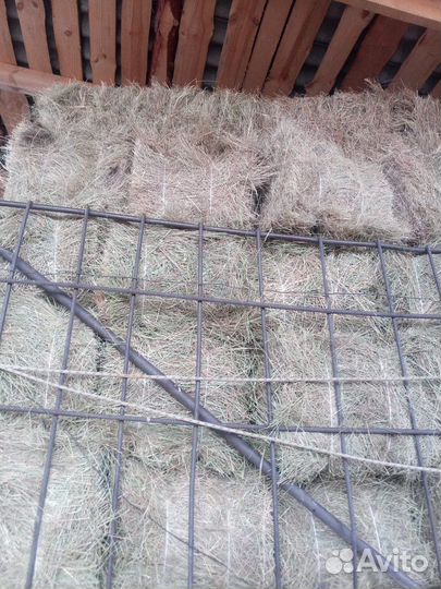 Сено в тюках