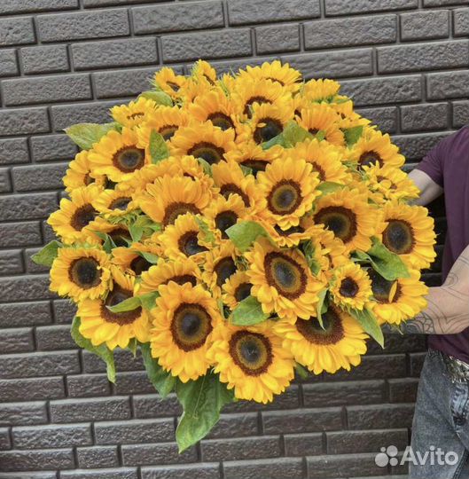 Подсолнухи цветы