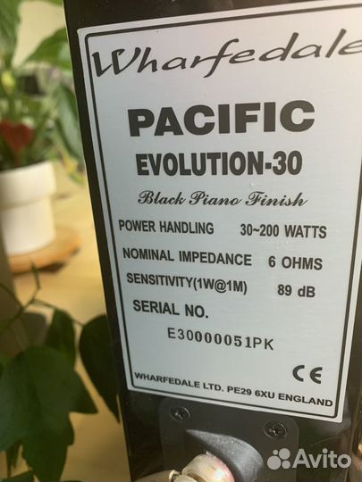 Акустическая система