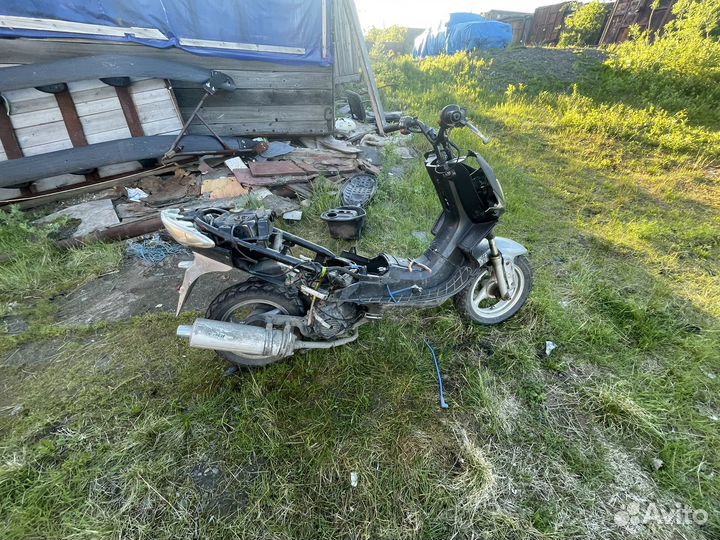 Нексус пантера