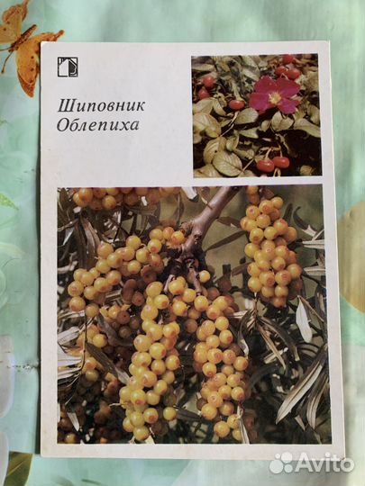 Набор открыток для садовода 1980-х годов - 30 штук