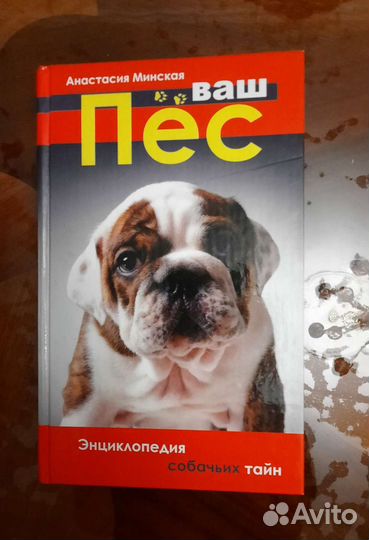 Книга Ваш Пёс Анастасия Минская