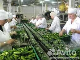 Вахта с проживанием и питанием