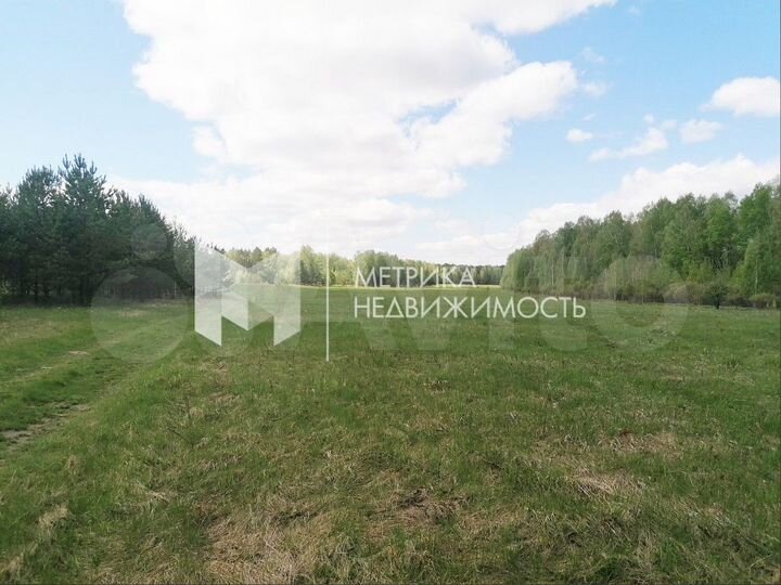 Участок 1,8 га (СНТ, ДНП)