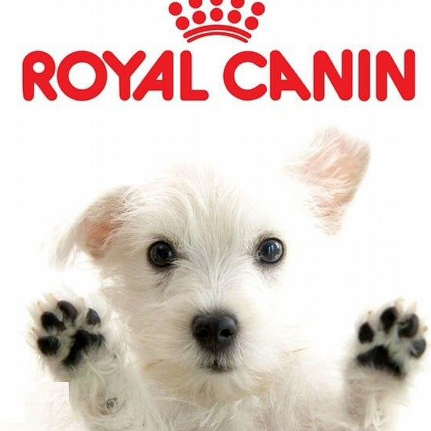 Сухой корм для собак Royal canin