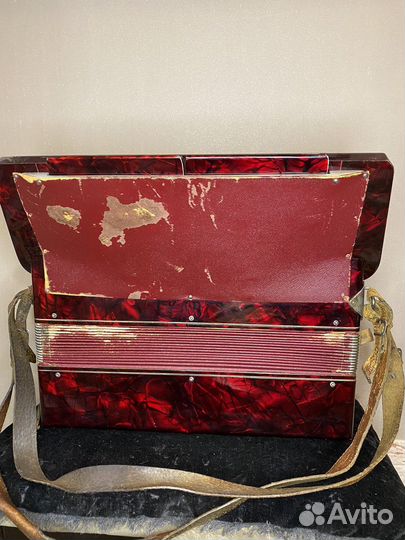 Аккордеон rauner