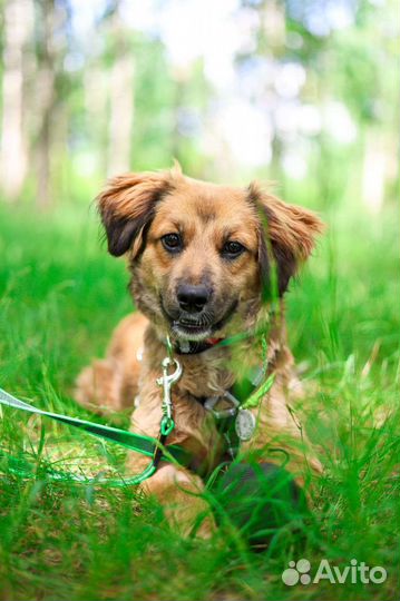 Адель ждёт семью