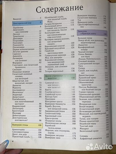 Энциклопедия