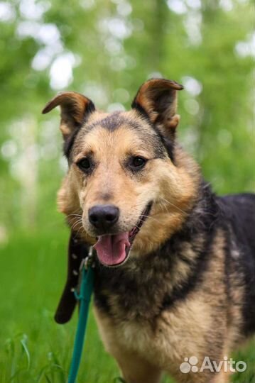 Заметь меня