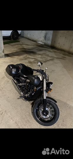 Phantom - редкий зверь