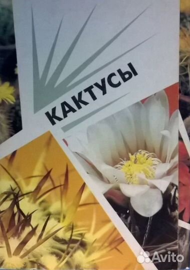 Набор открыток 