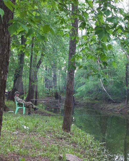 Участок 50 сот. (ИЖС)