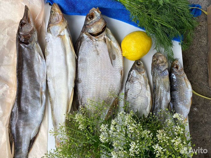 Вообла, тарань, судак, чехонь, лещ, щука, бычок