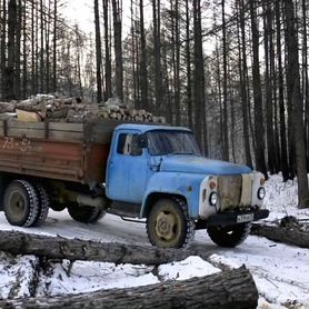 Дрова колотые твердых пород сухие