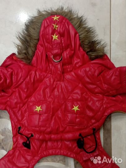 Одежда для той терьера