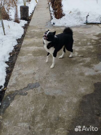 Лайка кабель вязка