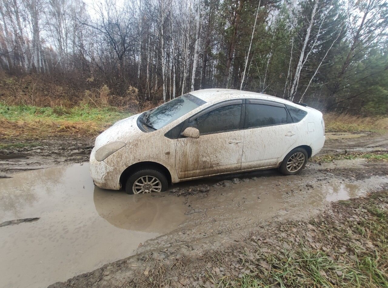 Toyota Prius: фото владельца