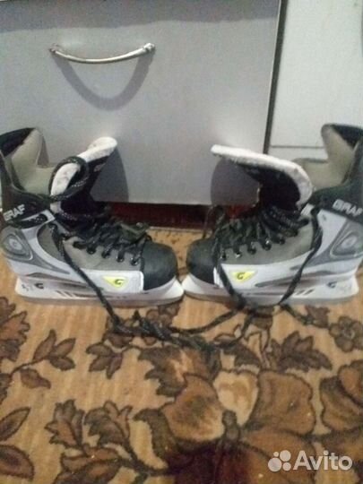 Коньки граф