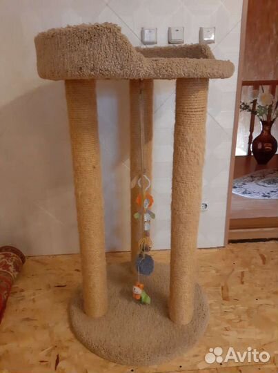 Когтеточка