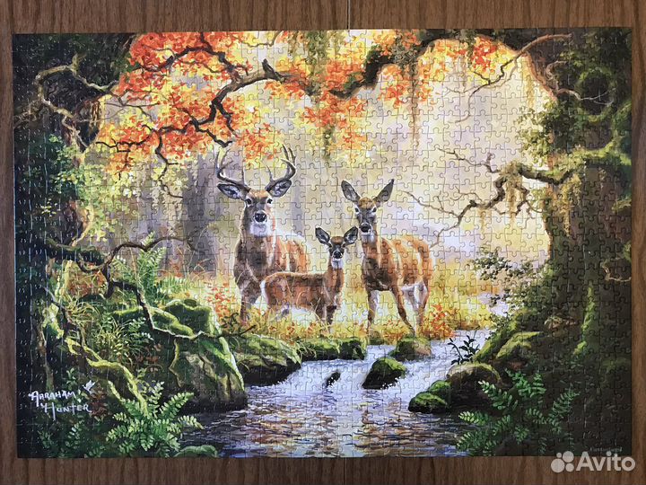 Пазлы на 1500 и 1000 деталей