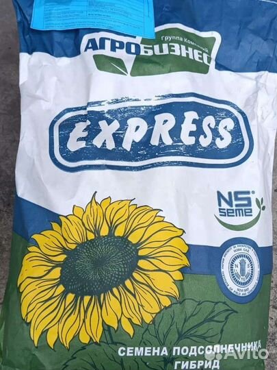 Семена подсолнечника нсх 6008 (Экспресс)