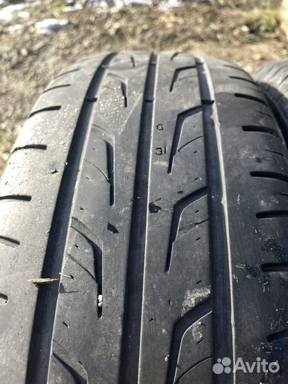Cordiant Road Runner 185/65 R15